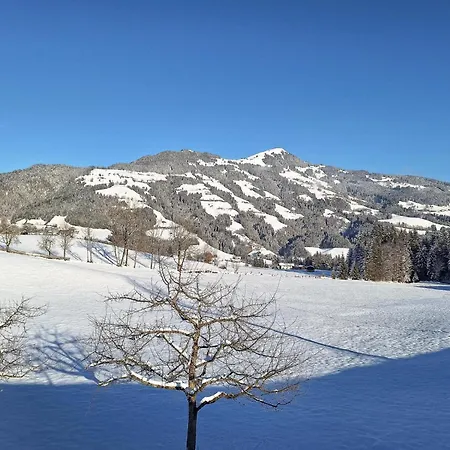 Platzl Hébergement de vacances Hopfgarten im Brixental
